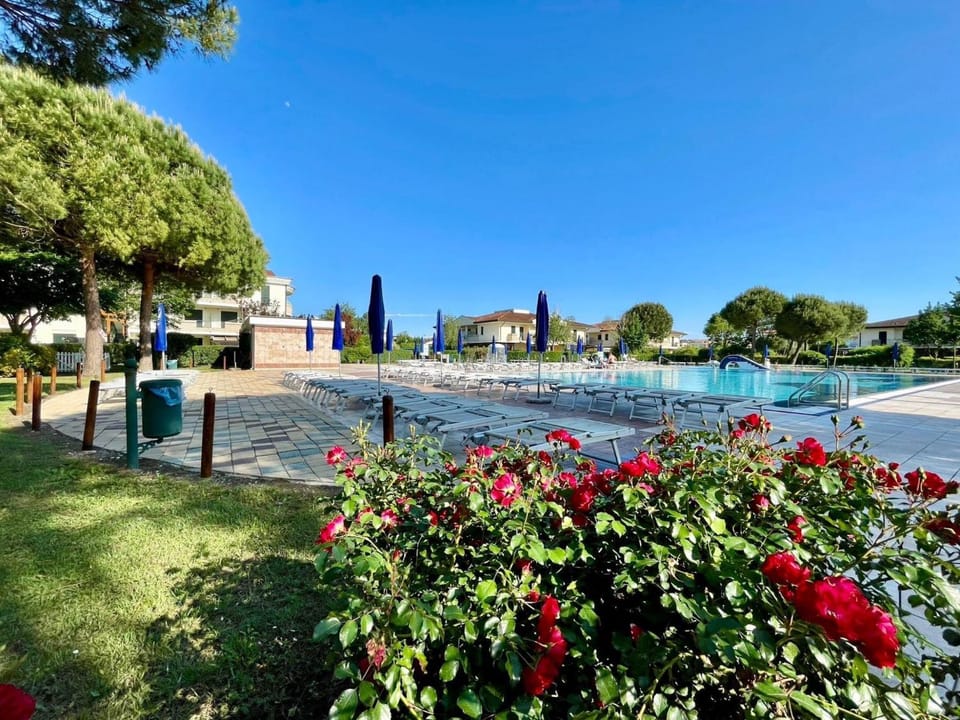 Garden, Swimming pool