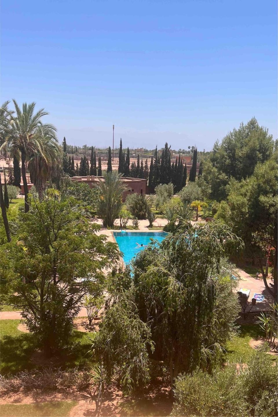 Garden, Swimming pool