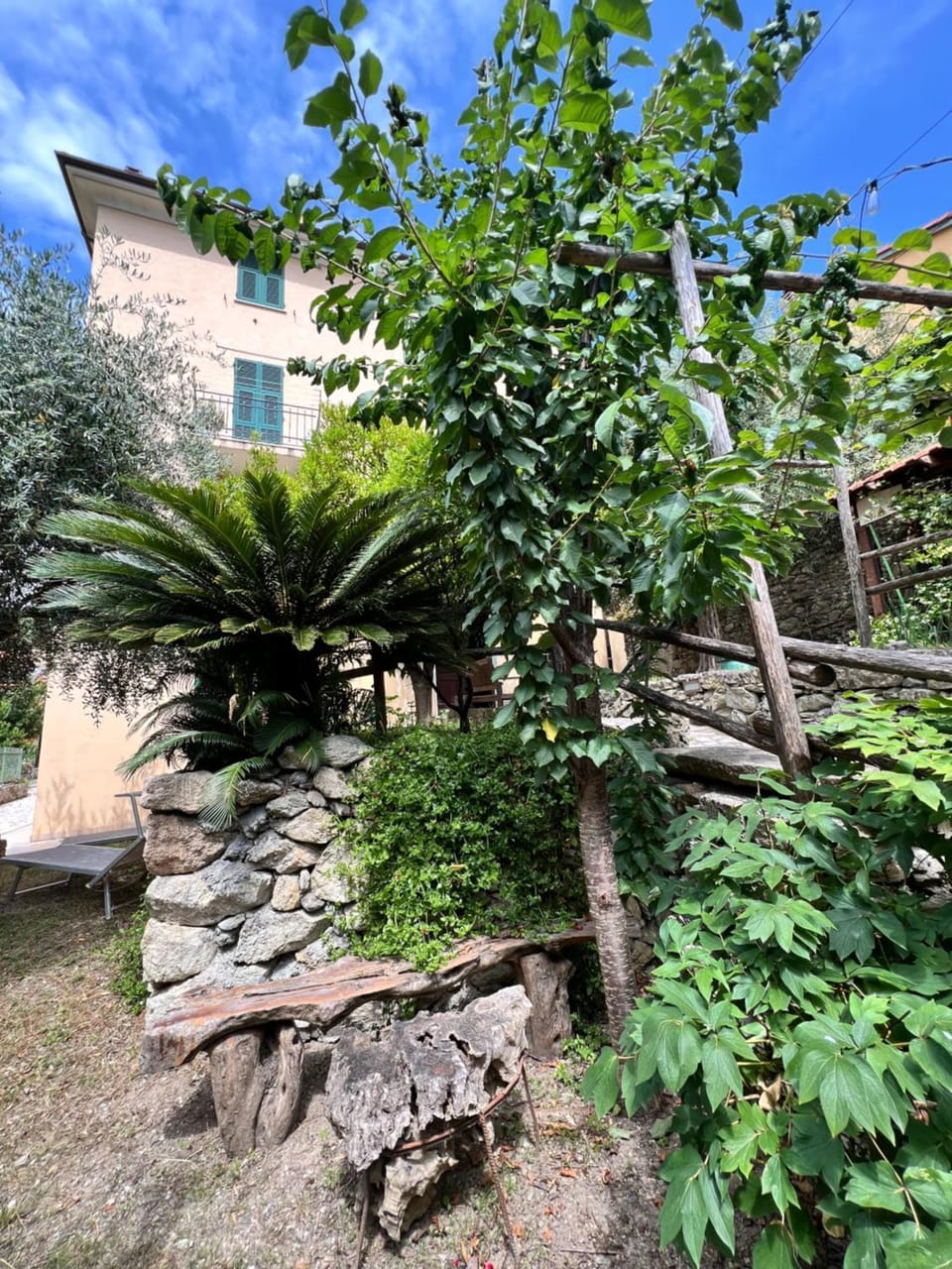 Garden view