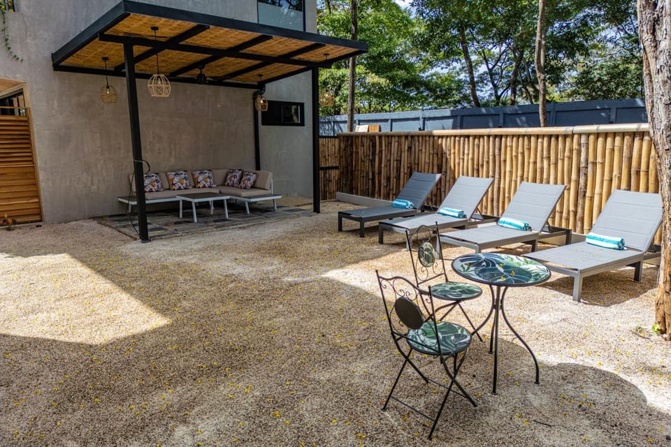Lounge or bar, sunbed