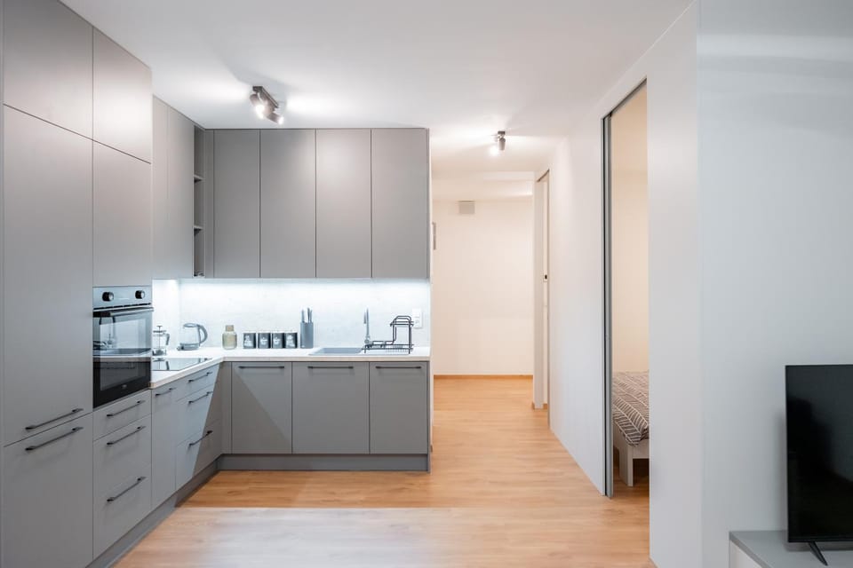 Kitchen or kitchenette, dishwasher, oven, stove