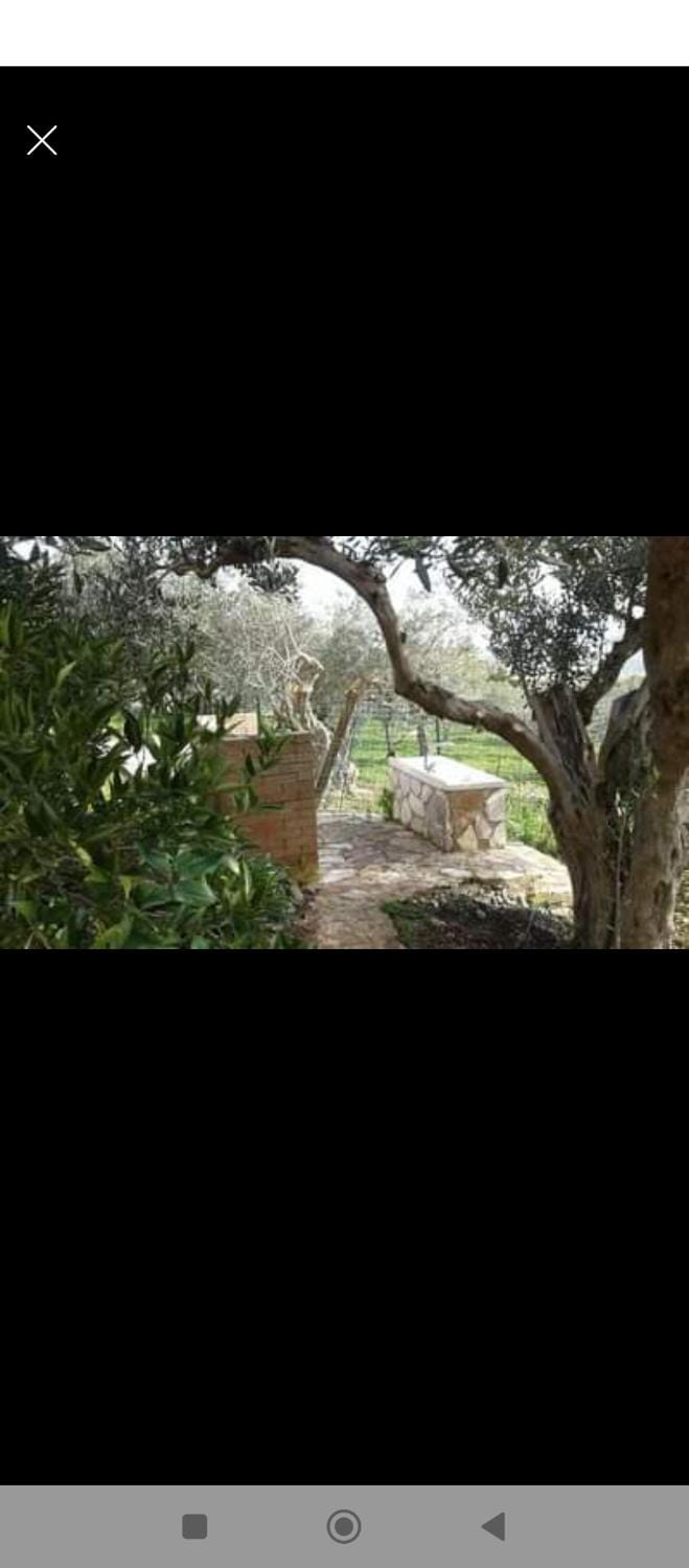 villa principe Villa in Sicily