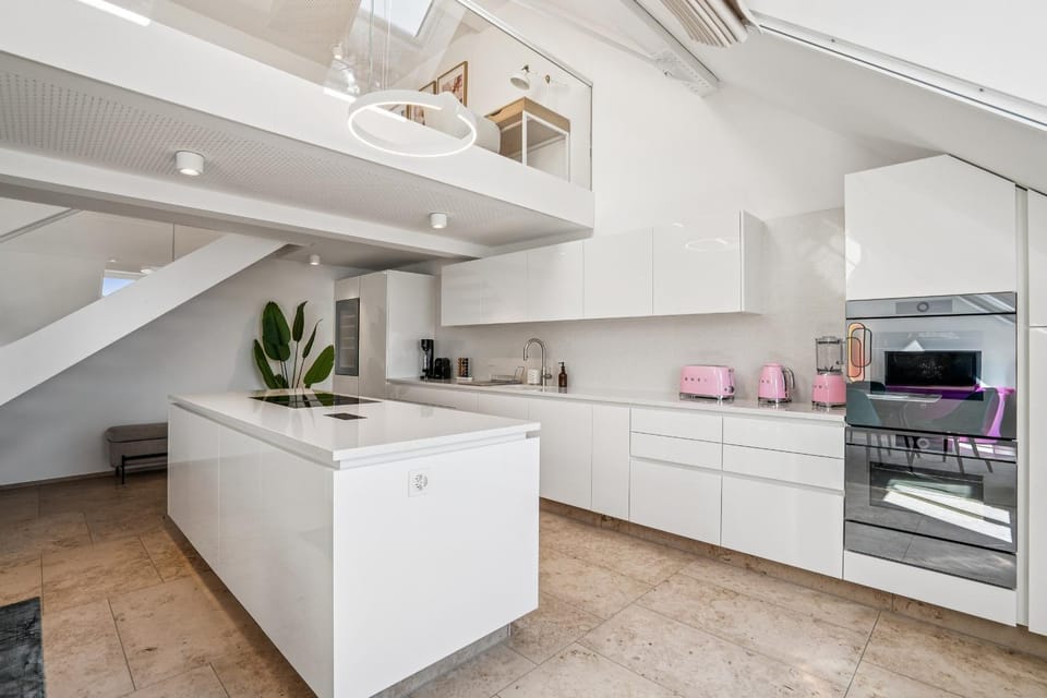 Old Town Rose Diamond Penthouse Rooftop Terrace Apartment in Zurich City