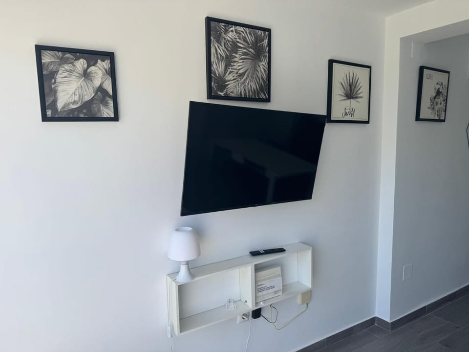 TV and multimedia