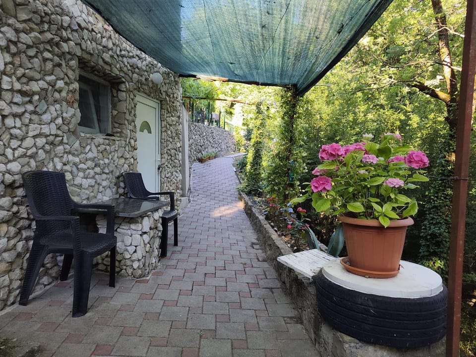 Garden, Balcony/Terrace, Garden view