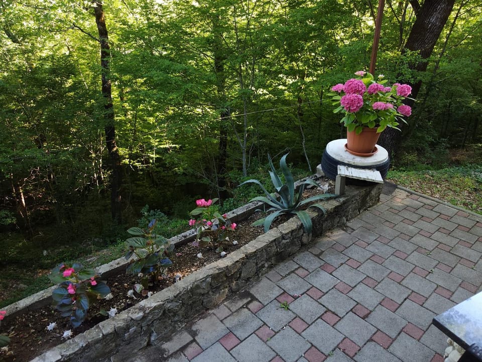 Garden, Garden view