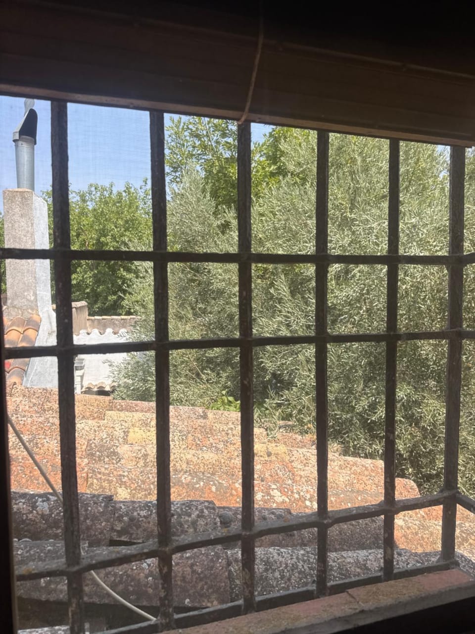 El telar de los Molinos House in La Mancha