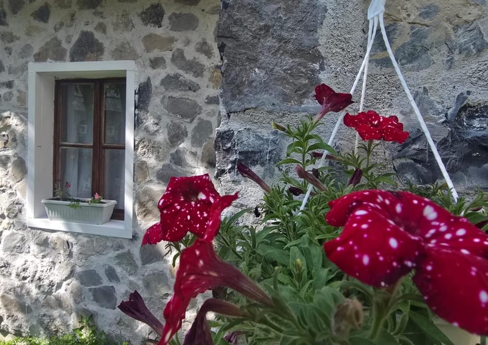 Plisi i Bardhe Agroturizem Country House in Montenegro