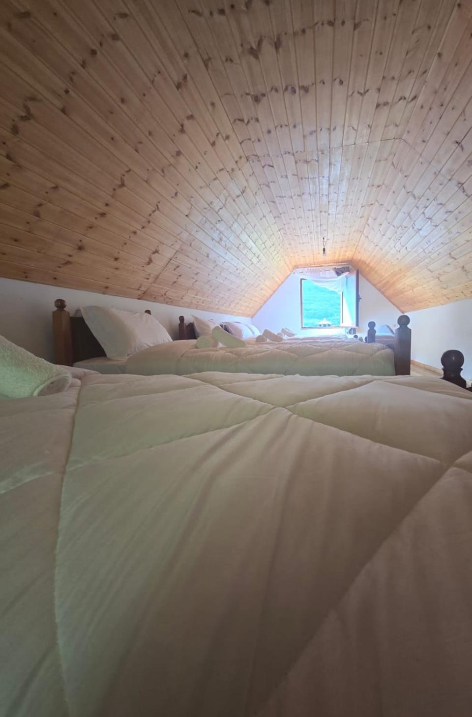 Plisi i Bardhe Agroturizem Country House in Montenegro