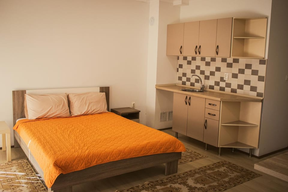 Bed, Kitchen or kitchenette, Photo of the whole room, Bedroom