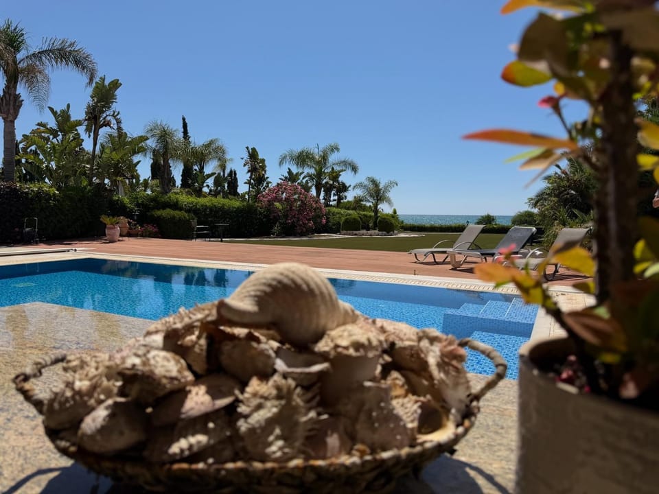 Garden, Swimming pool, sunbed