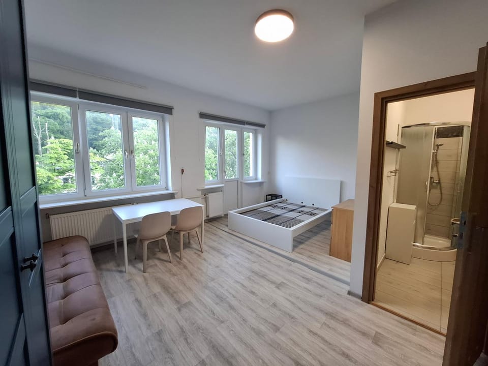 Shower, Bed, Bathroom, Photo of the whole room, Bedroom