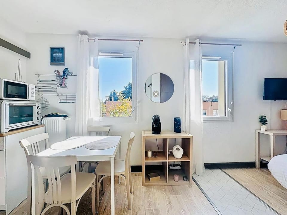 Work & Chill Apartment in Villeurbanne