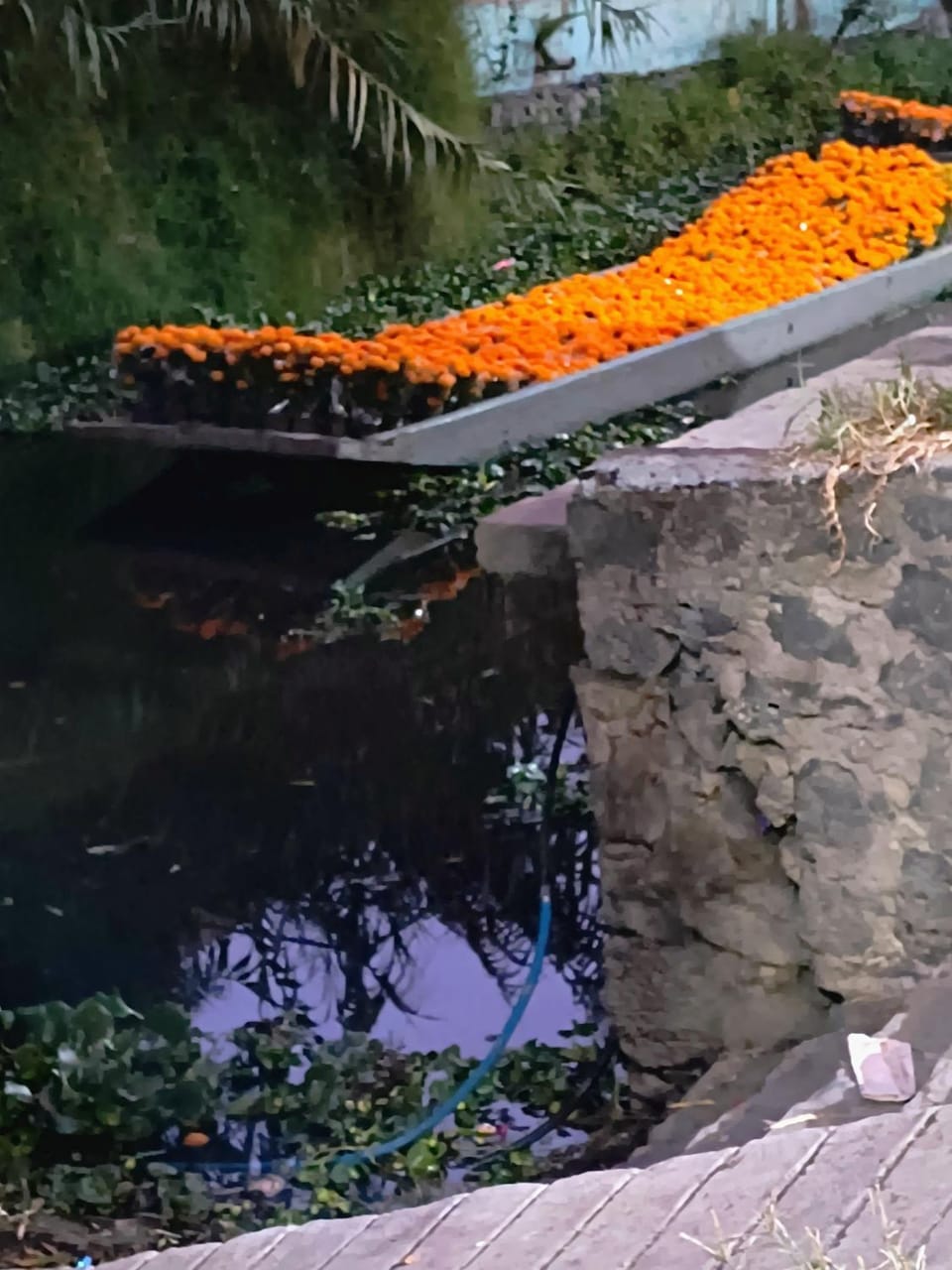 Casa Tonatih Bed and Breakfast in Mexico City