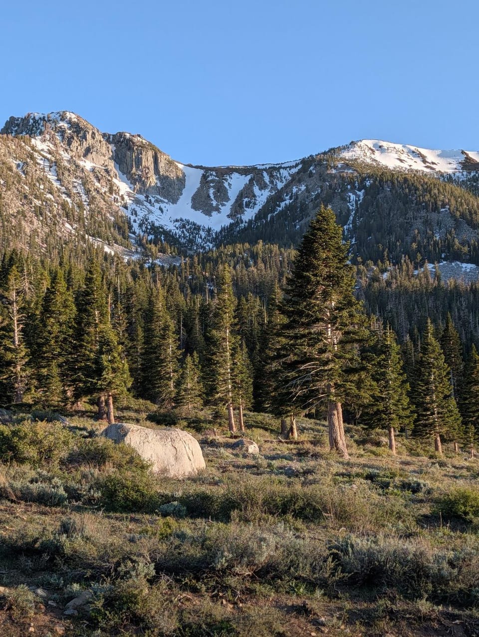 Mountain view