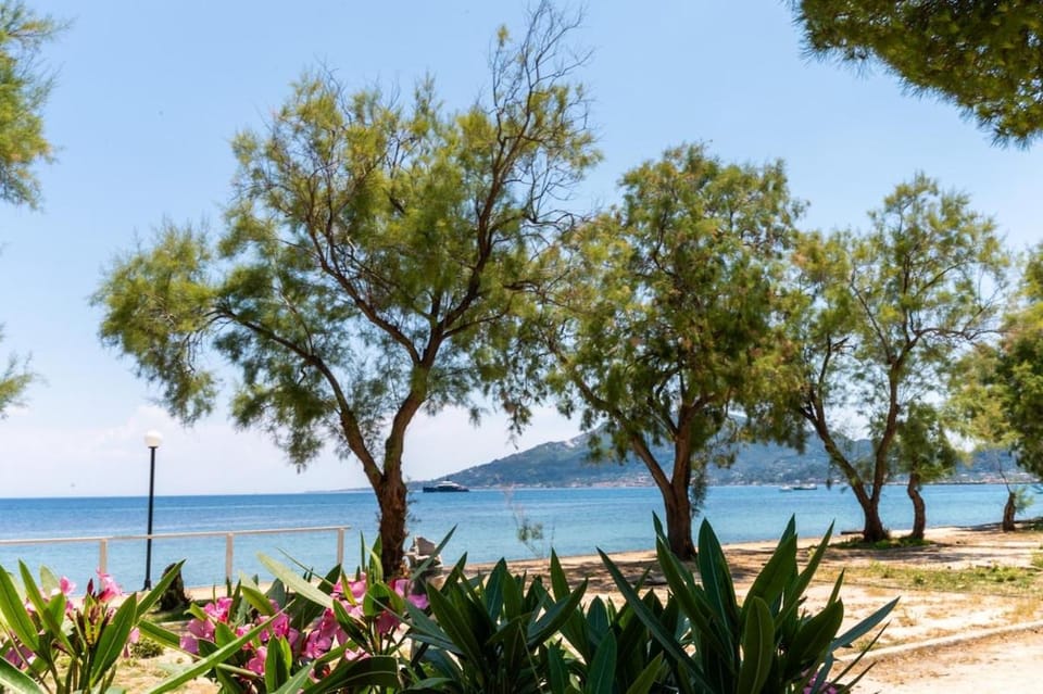 Angel seaside lux apartment, zakynthos town Apartment in Zakynthos