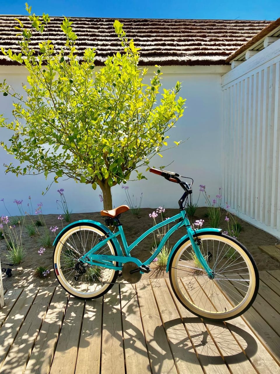 Cycling