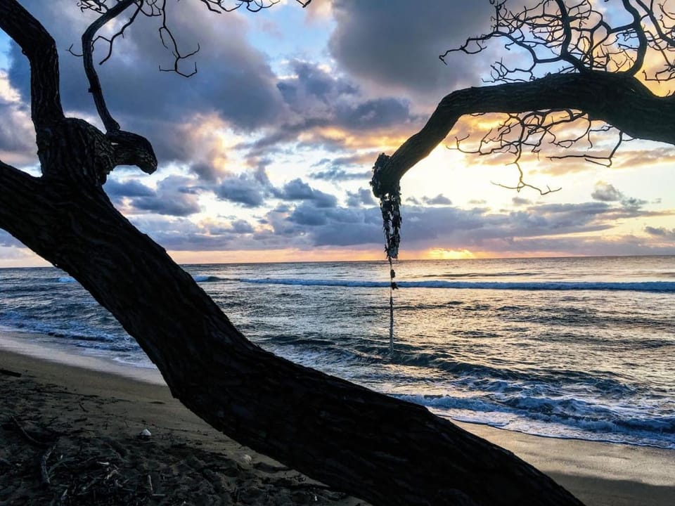Oceanfront Studio at Islander on the Beach #325 Apartment hotel in Waipouli Beach
