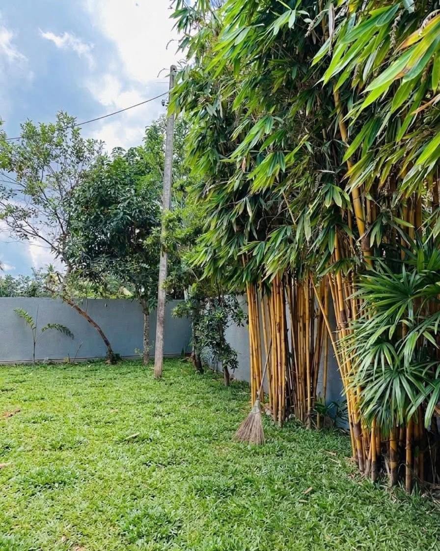 Bluora Apartment in Galle