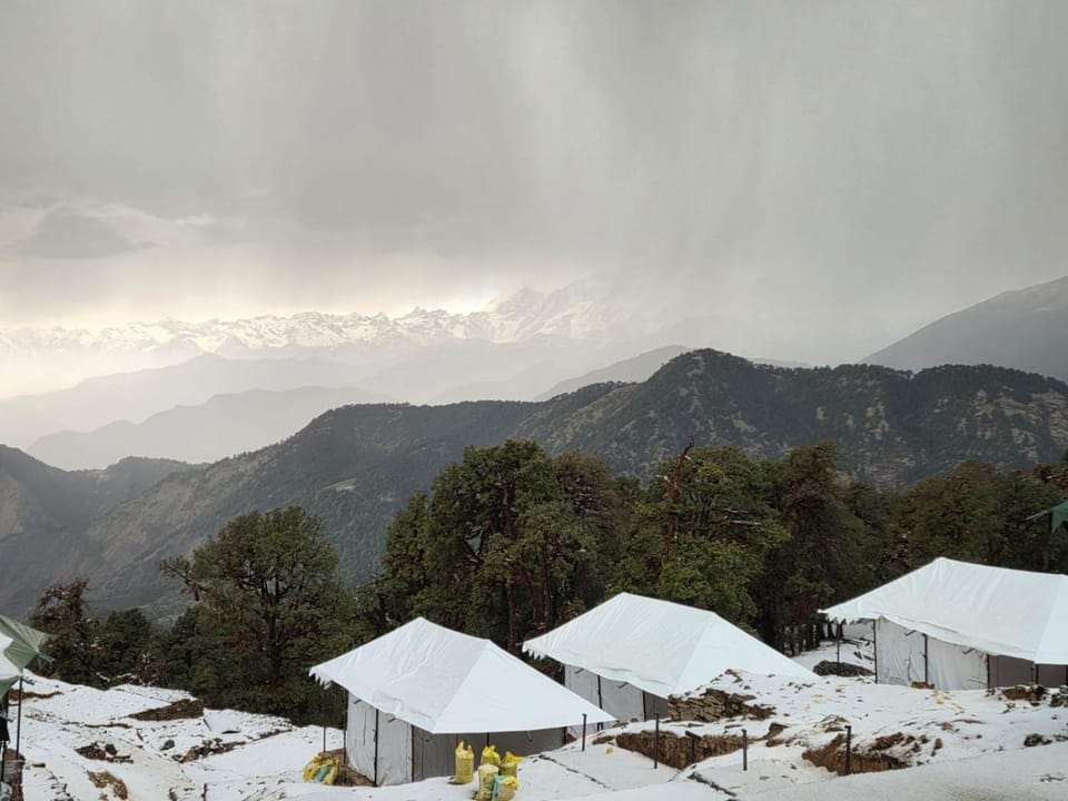 Hillora Camp Chopta Campground/ 
RV Resort in Uttarakhand