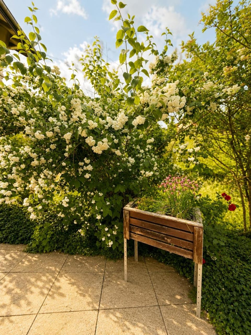 Property building, Patio, Garden, Garden, Balcony/Terrace, Garden view