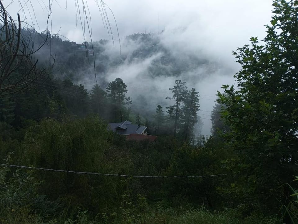Natural landscape