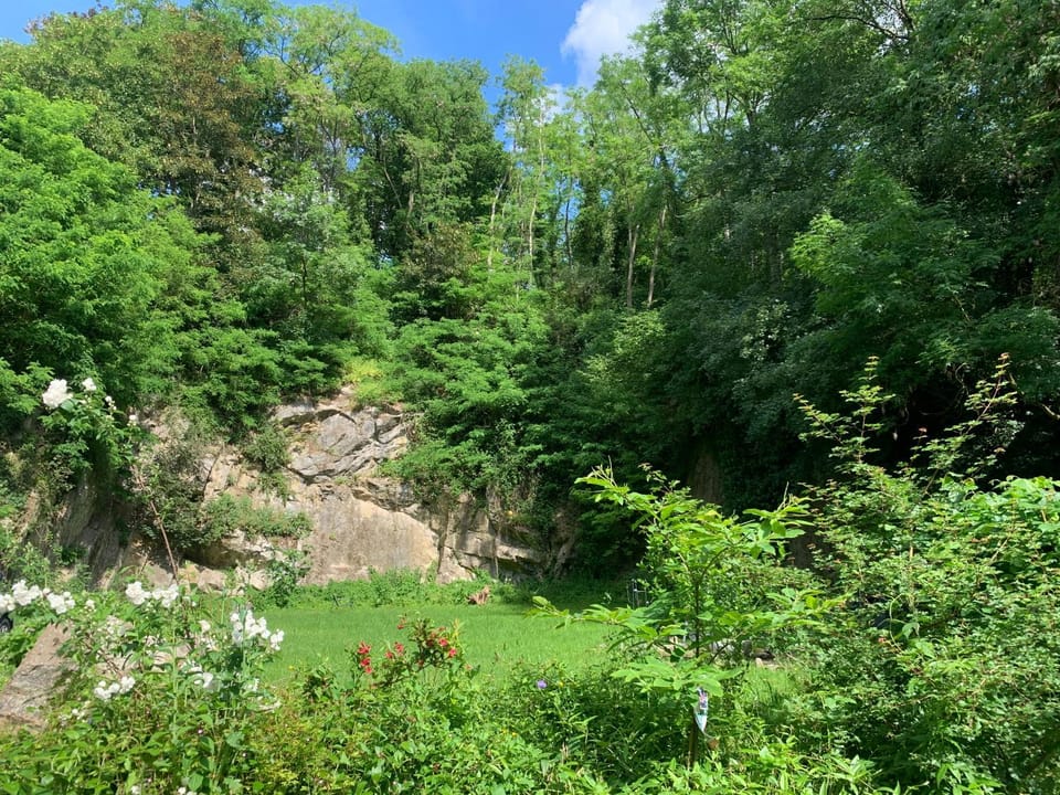 Natural landscape