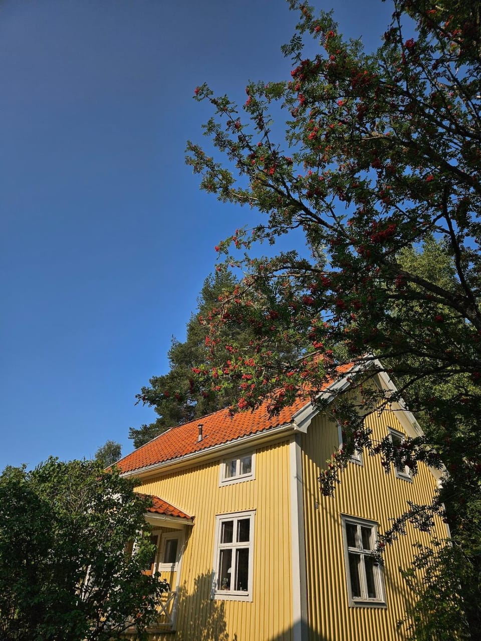 Spacious guesthouse House in Norrbotten County, Sweden