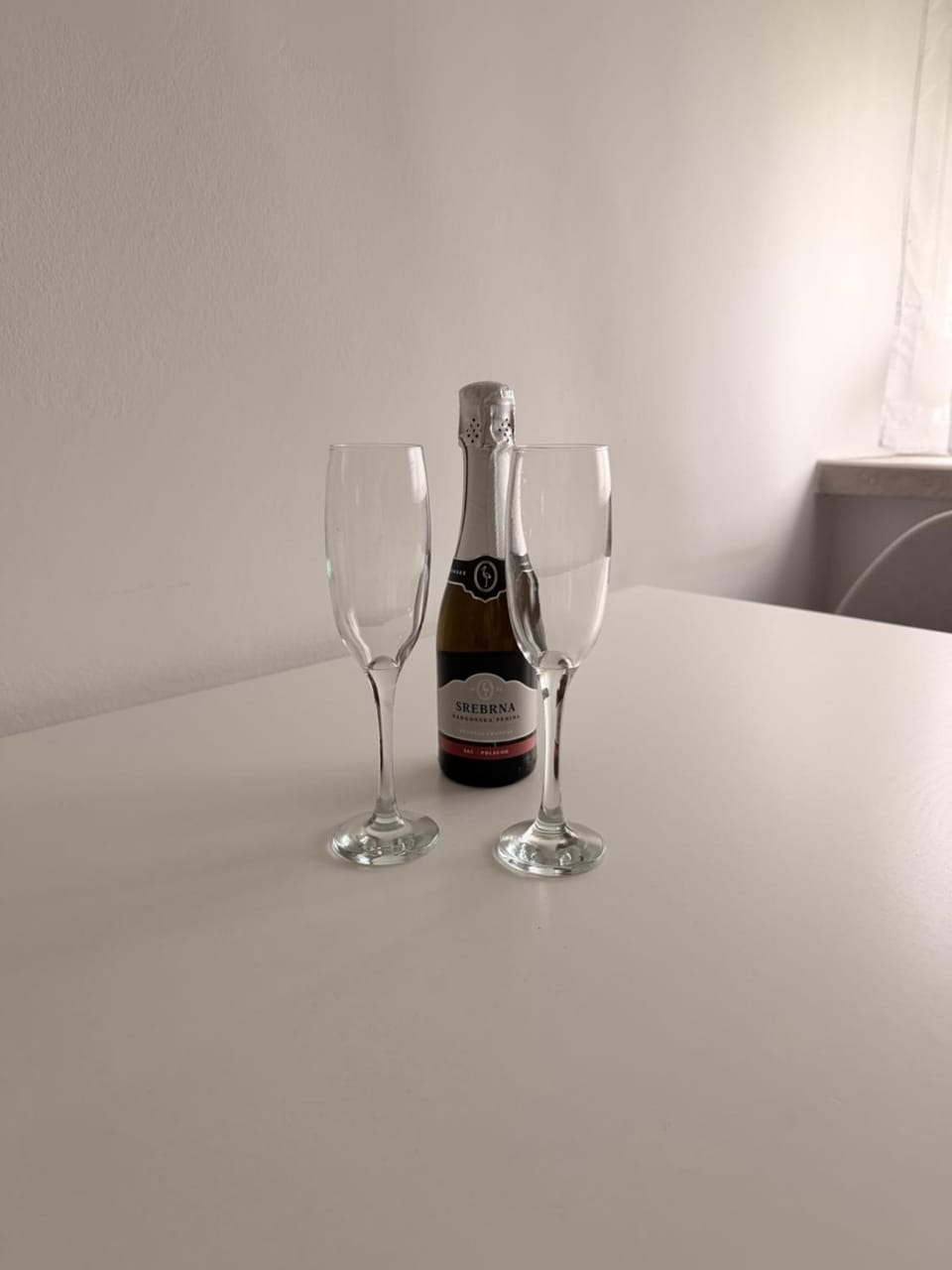 Villa Kraker Apartment in Slovenia