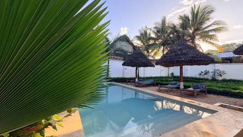 Garden, Garden view, Pool view, Swimming pool, sunbed