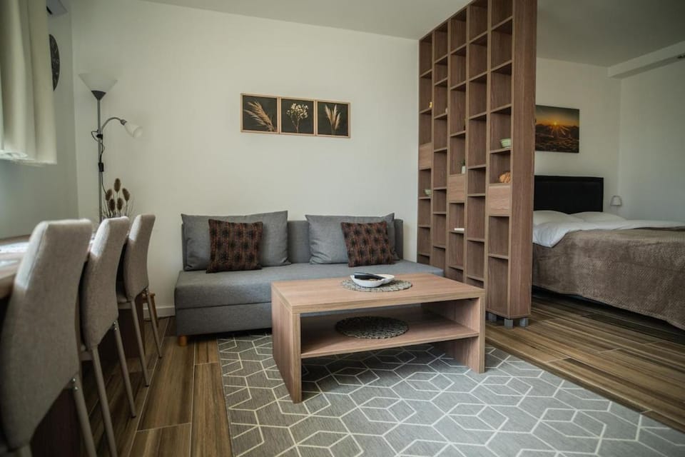 Central Studio Apartment in Sarajevo