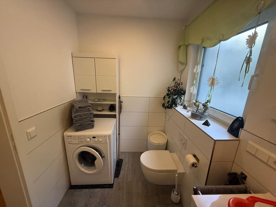 Toilet, Bathroom, towels, washing machine