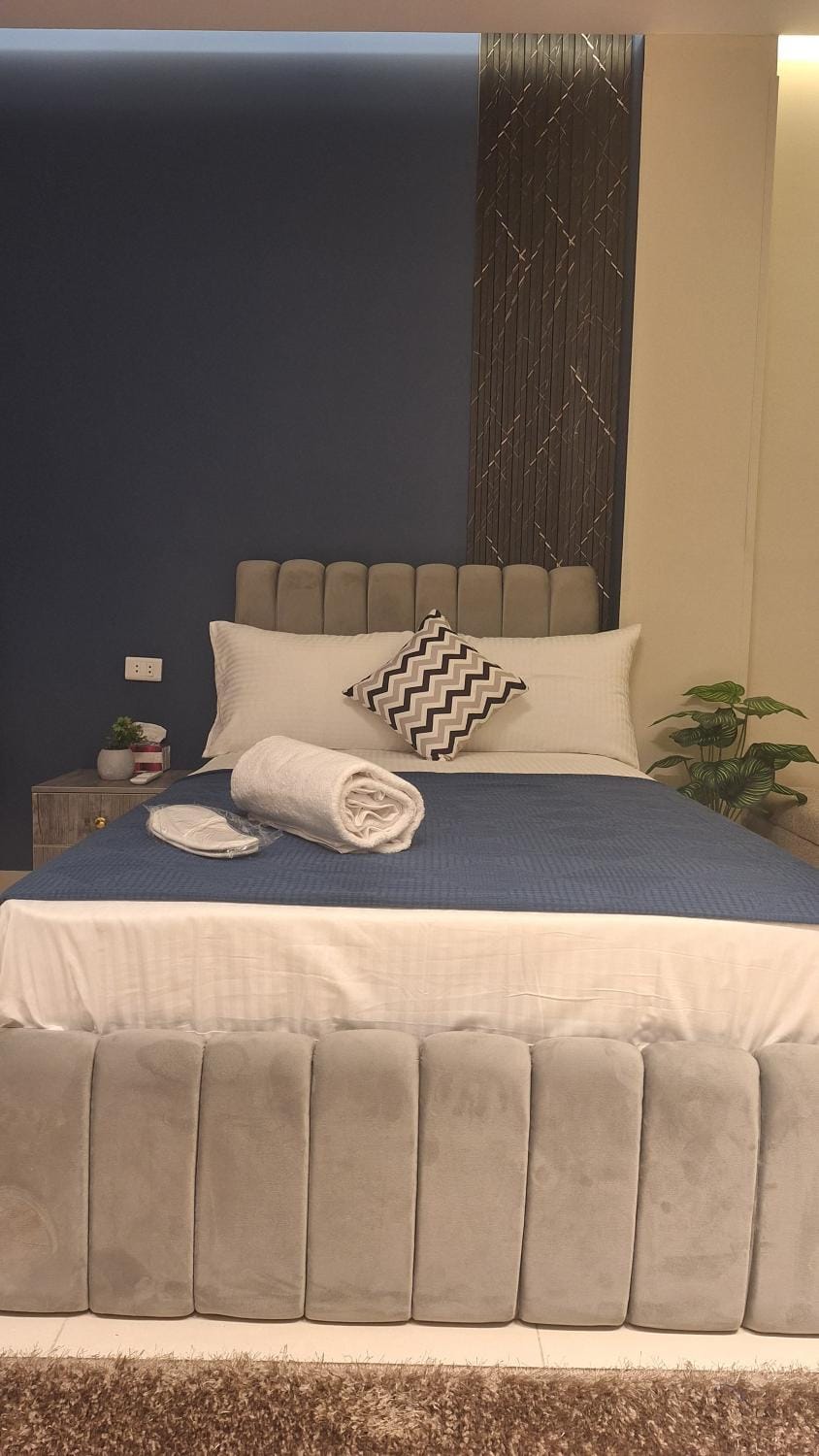 Downtown family residence Apartment in Cairo
