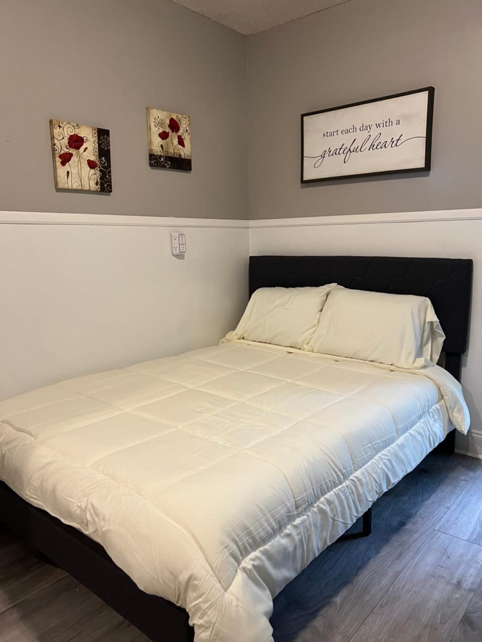 Riley's Compfy Apartment Pets Welcome No Fee Apartment in Little Rock