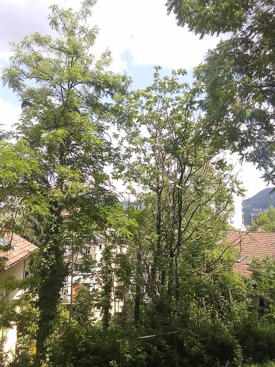 Essential Apartment in Sarajevo