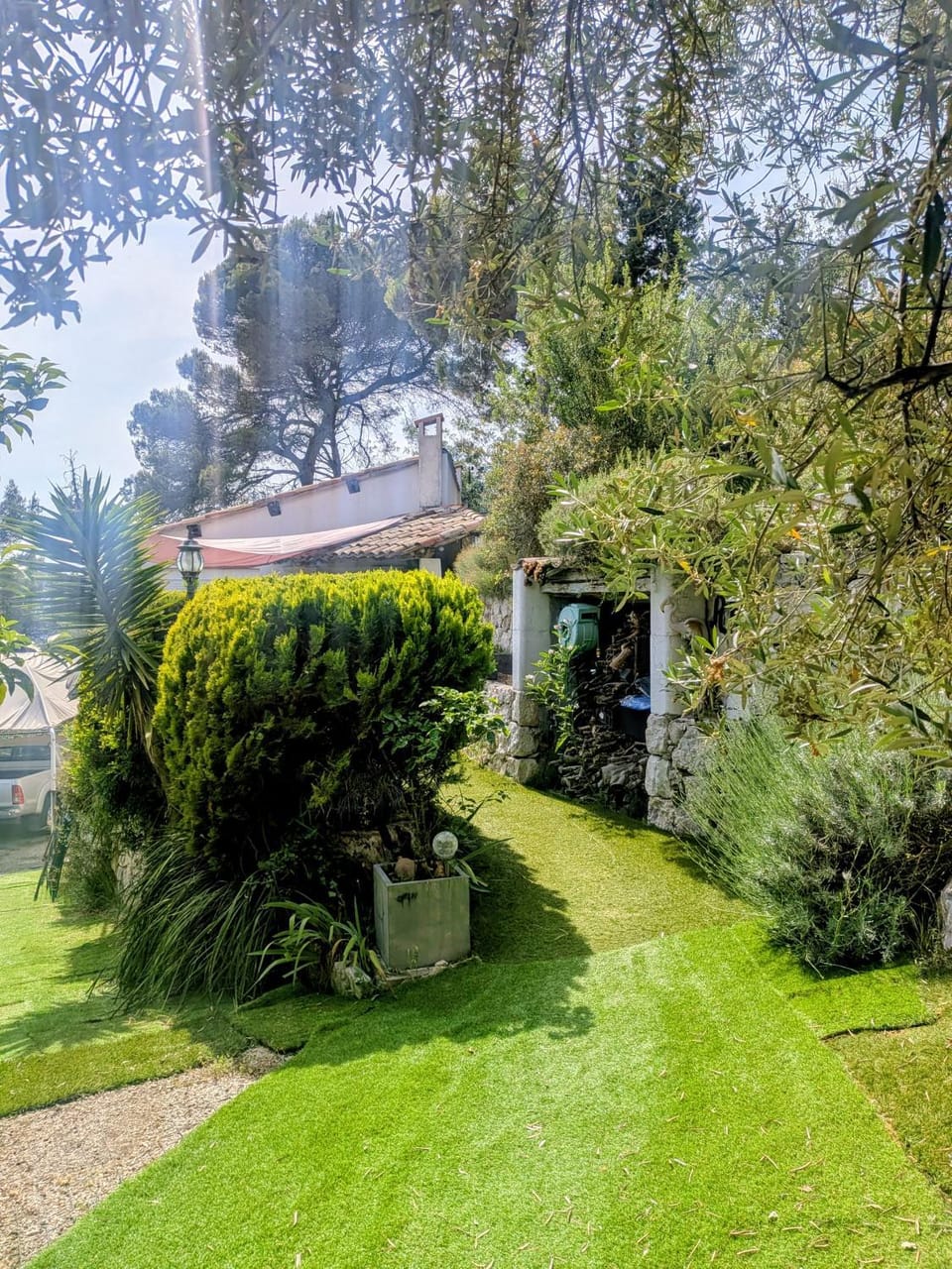 Garden