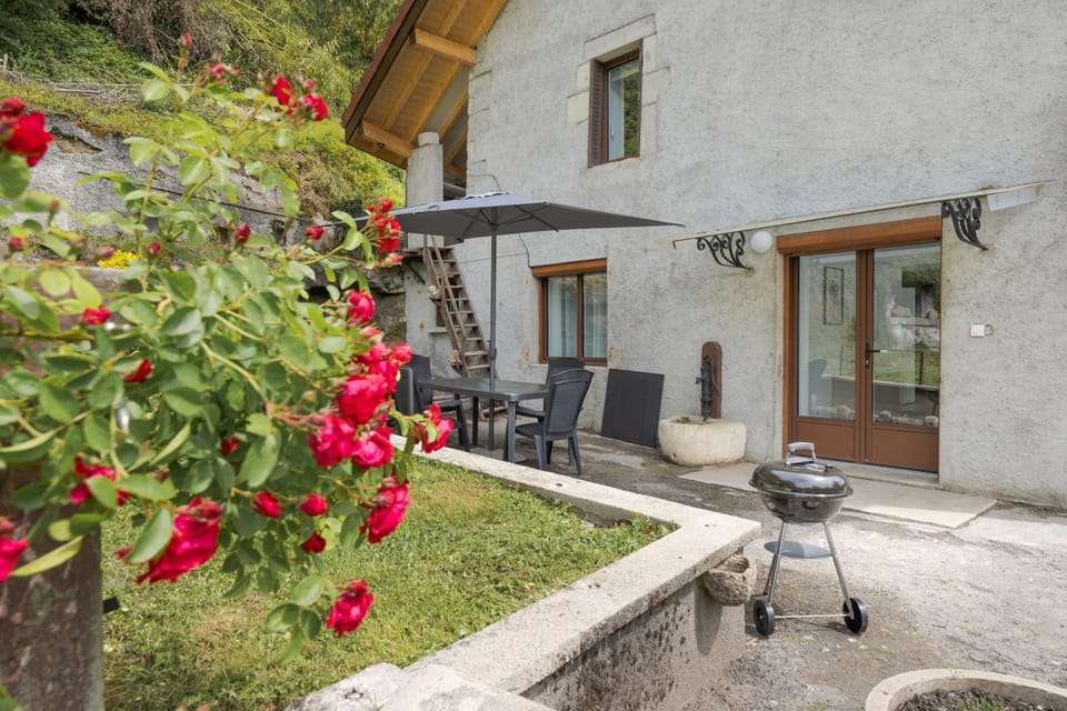Patio, Garden