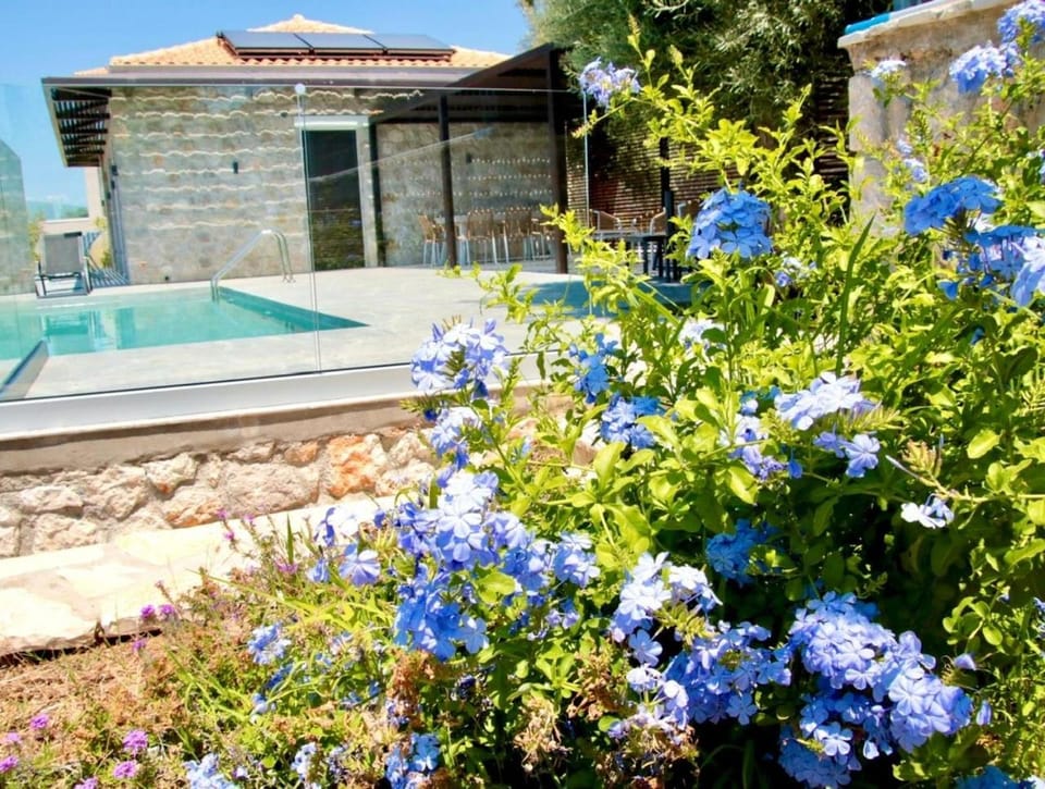 Property building, Seating area, Garden view, Pool view, Swimming pool, sunbed