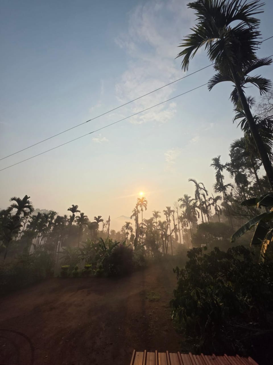 Kaarmugilu Homestay Vacation rental in Karnataka