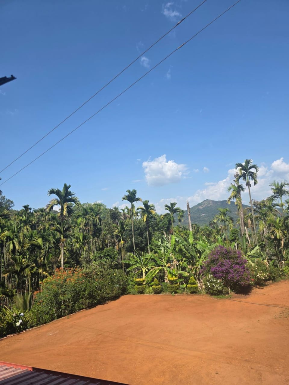 Kaarmugilu Homestay Vacation rental in Karnataka