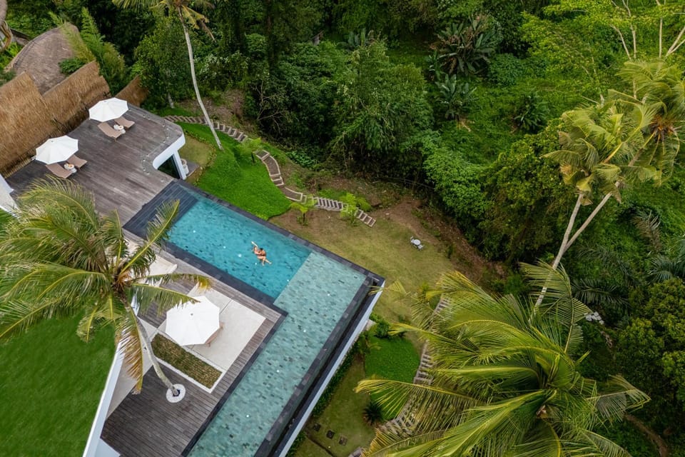 Day, Natural landscape, Bird's eye view, Garden, Garden view, Pool view, Swimming pool, sunbed