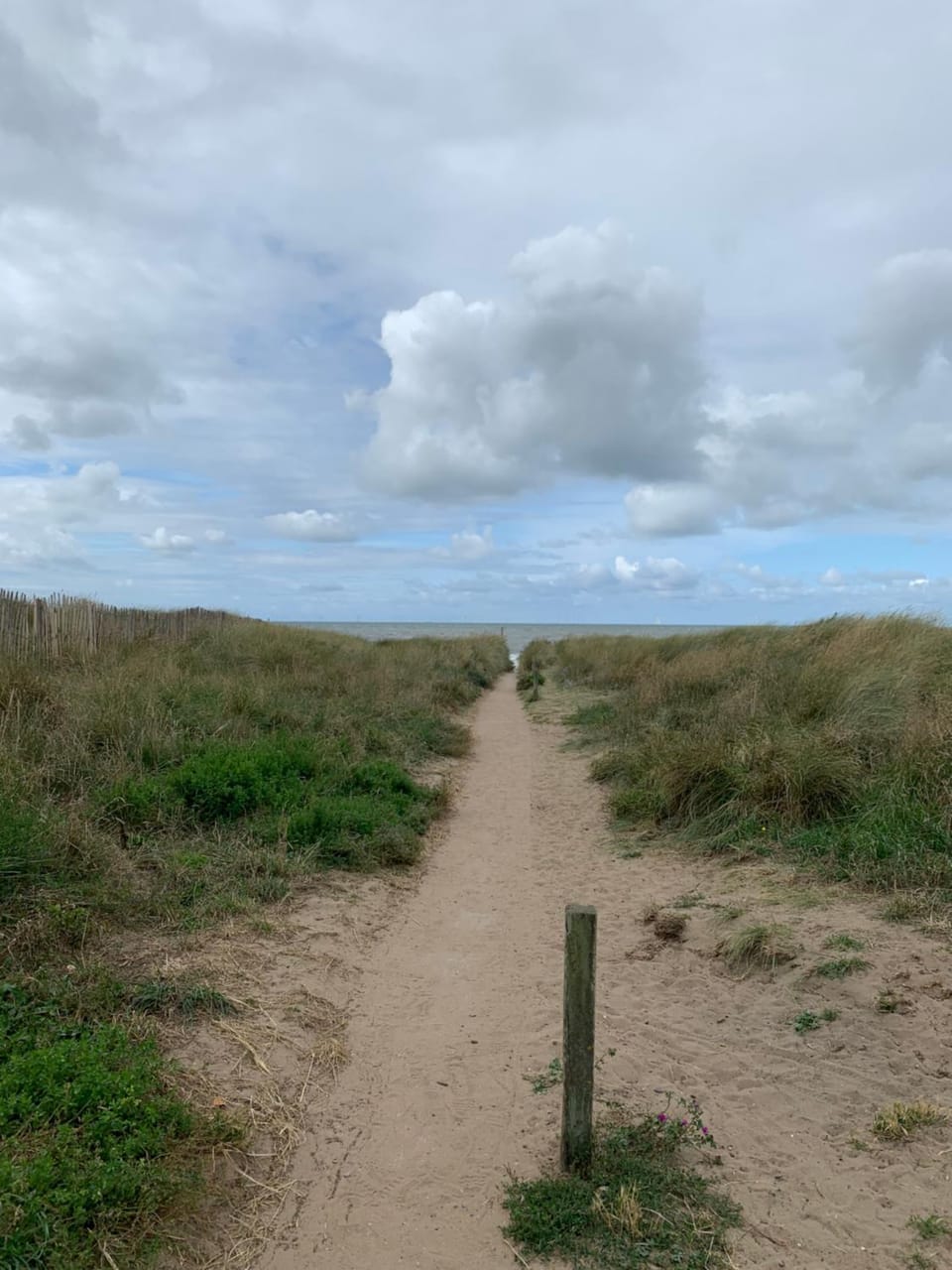 Shire Campground/ 
RV Resort in Prestatyn
