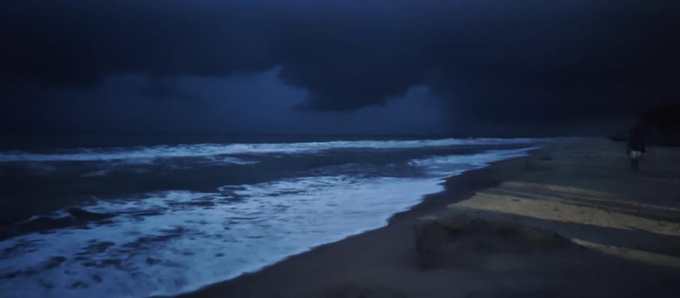 Ocean wings Traditional beach villa Villa in Kerala