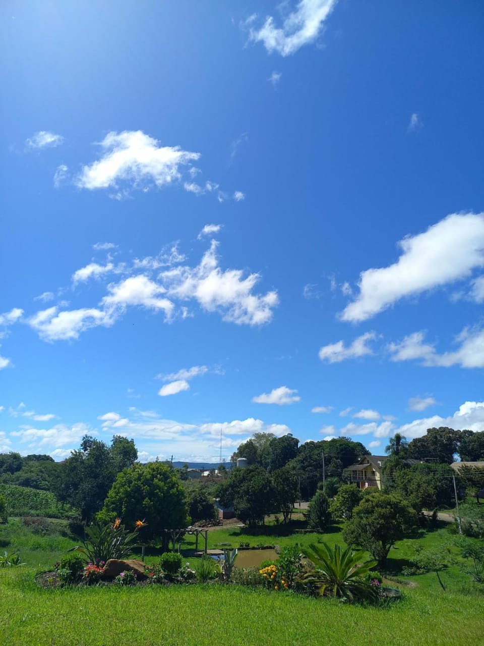 Natural landscape