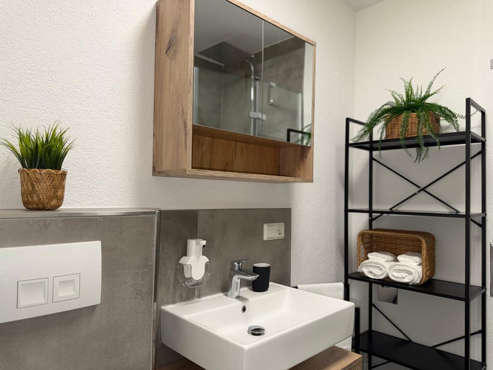APARTMENT in Hambach Apartment in Rhineland-Palatinate