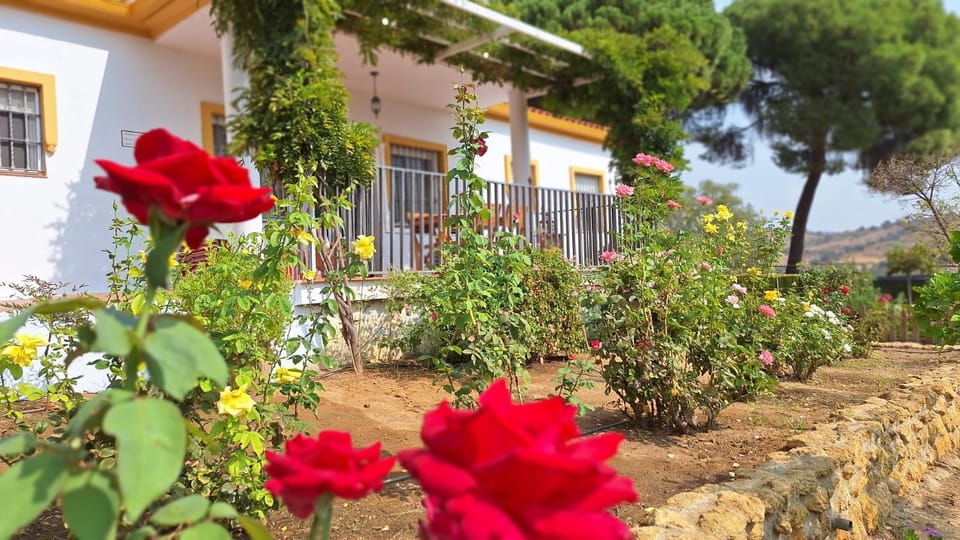 El Pinar House in Sierra Norte de Sevilla