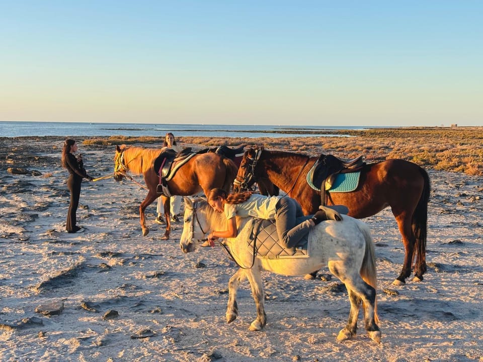 Dar Hallouma - WostelDjerba community Bed and Breakfast in Tunisia