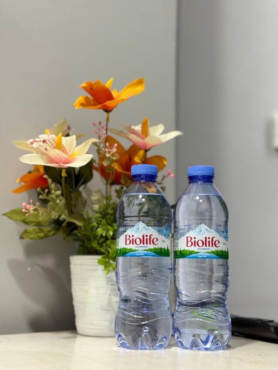 Grand Marmara Hostel Hostel in Europe
