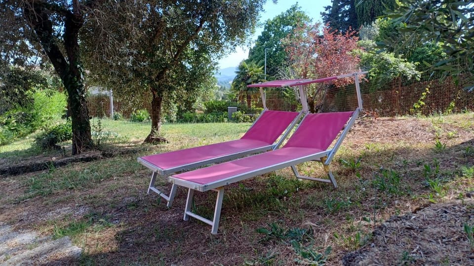 Garden, Garden view