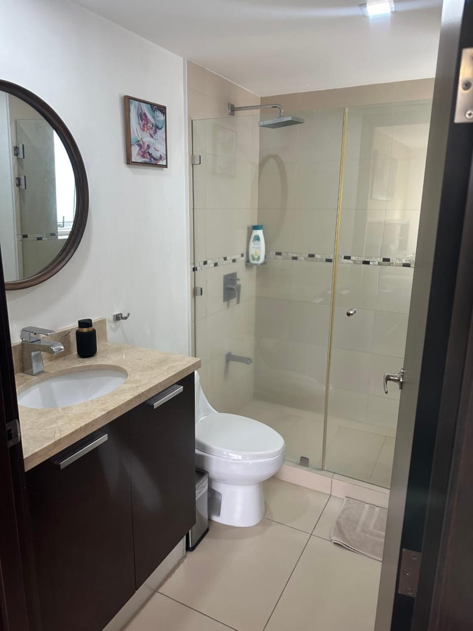 Charming Two Bedroom with balcony Apartment in San Jose